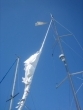 Das Rigg der AVOCET
